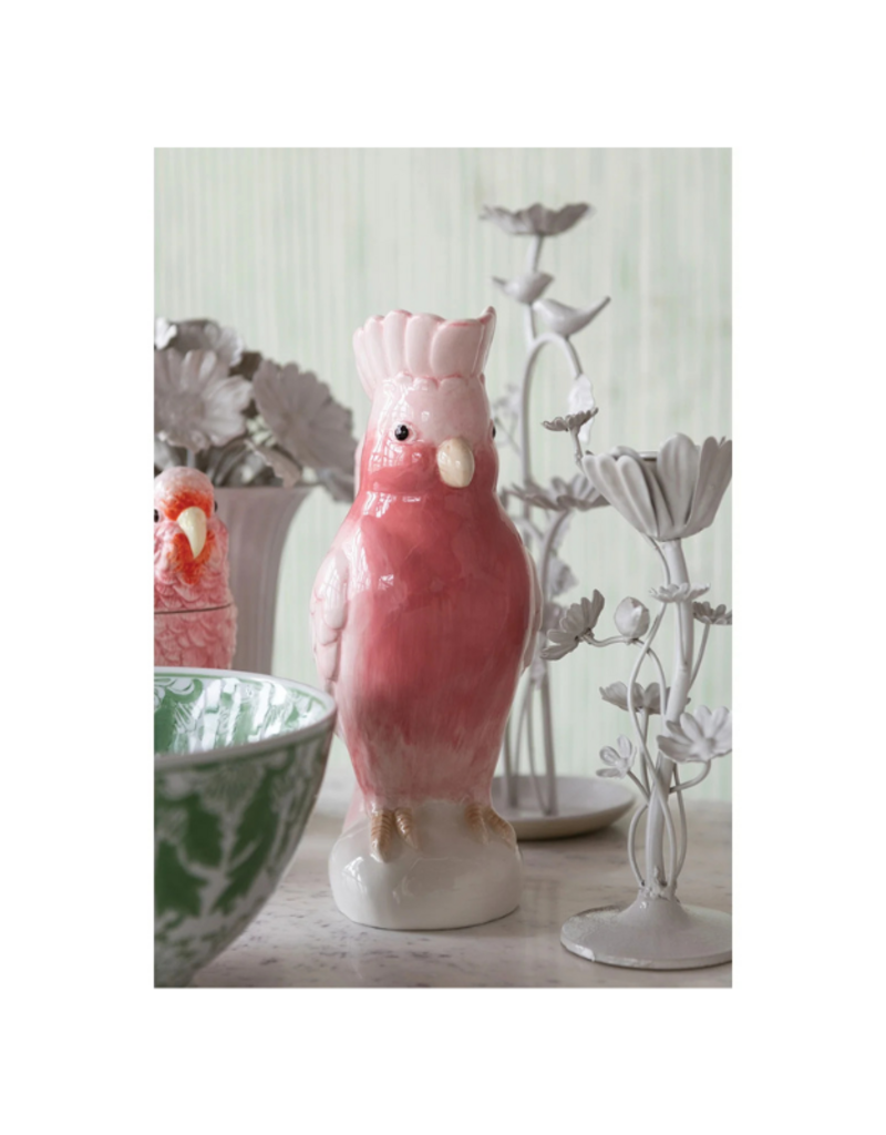 Cockatoo Pitcher
