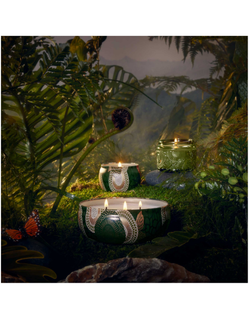 Voluspa 3-Wick Tin Candle in Temple Moss by Voluspa