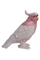 Cockatoo Jar With Lid