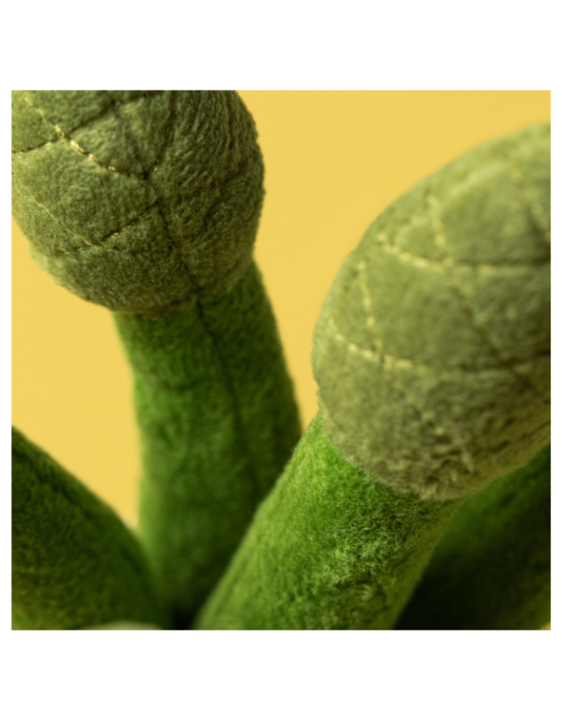 Jellycat COMING SOON! Jellycat Amuseables Asparagus