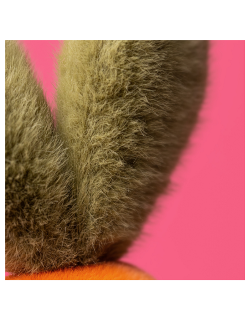 Jellycat COMING SOON! Jellycat Amuseables Carrot