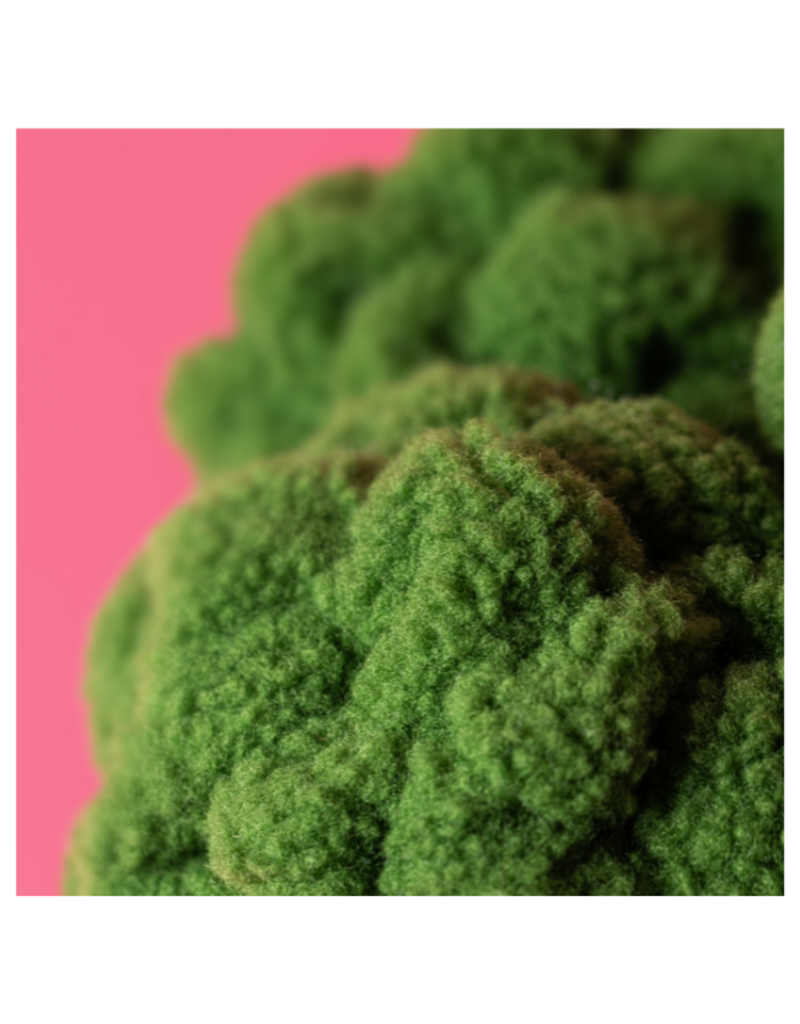 Jellycat COMING SOON! Jellycat Amuseables Broccoli