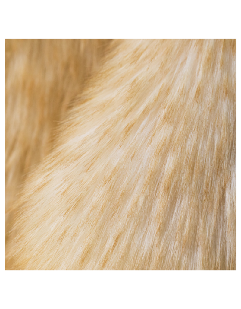 Jellycat COMING SOON! Jellycat Springlowe Luxe Bunny Big