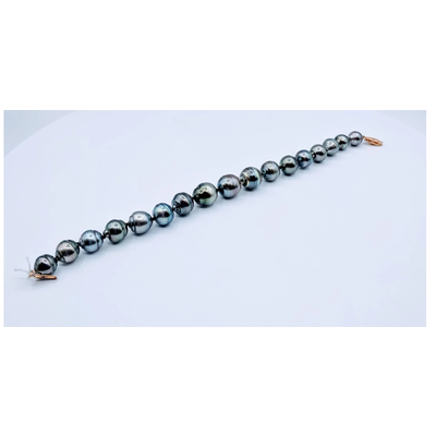 Bracelet Tahitian 7.5" 14ky 219050074 Bracelet Tahitian 7.5" 14ky 219050074