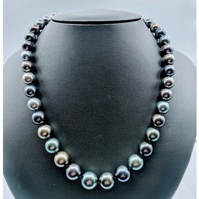 Necklace AAA Tahitian Strand 18" 14ky 219050073 Necklace AAA Tahitian Strand 18" 14ky 219050073