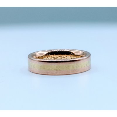 Ring Two-Tone 5.5mm 18kr sz10 220010022 Ring Two-Tone 5.5mm 18kr sz10 220010022