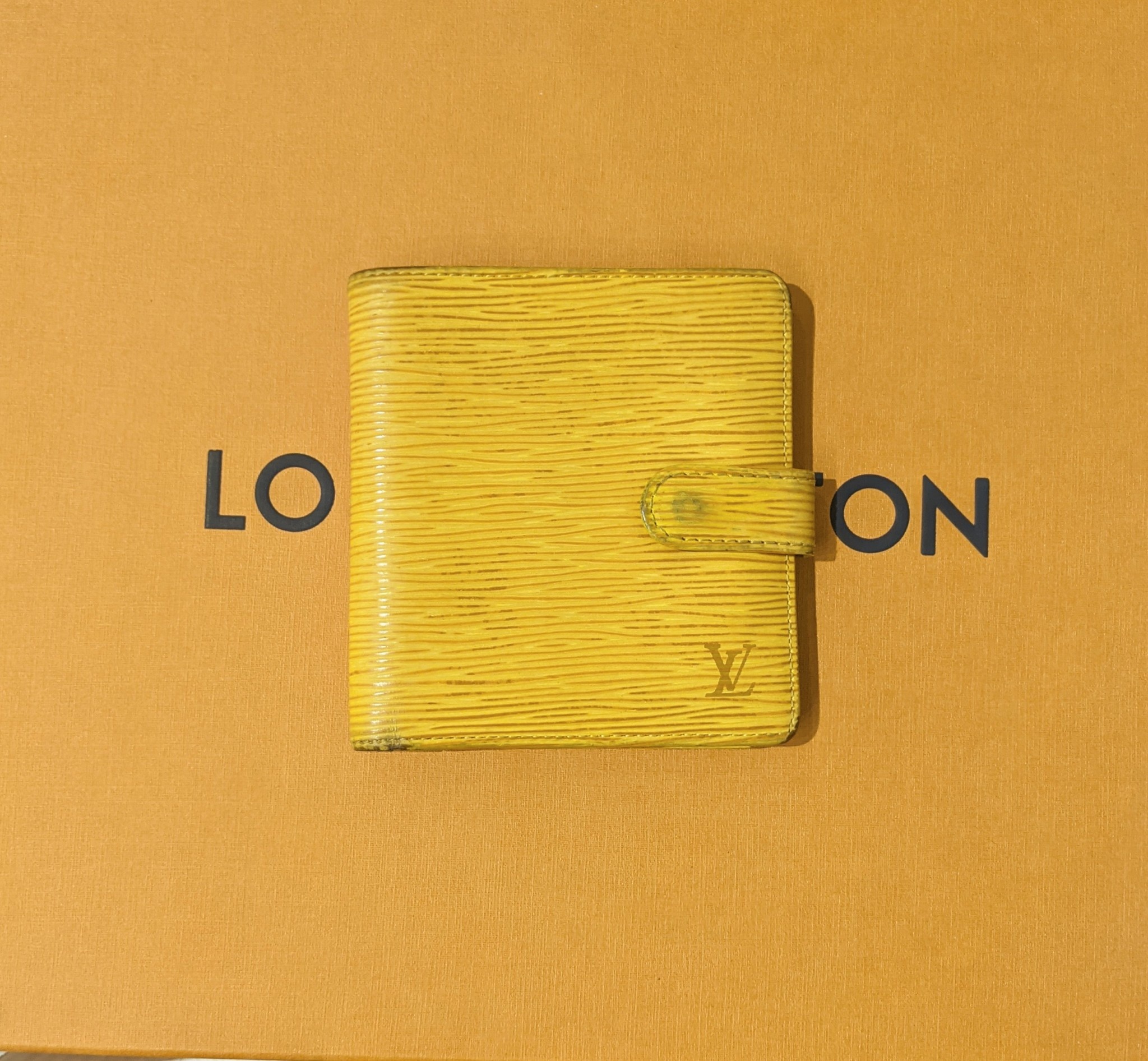 Louis Vuitton Snaps 