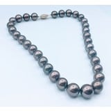  Necklace Strand 11-13mm Dyed Tahitian Pearls 14ky 17" 222100018