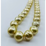  Necklace Strand 10-14mm Golden South Sea Pearls 14ky 18.5" 223010018