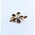 Brooch Flower .17ctw Round Diamonds 18ky 40x25.5mm 223040037