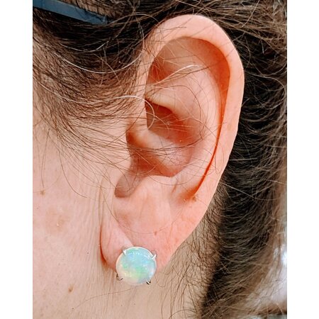 Earrings 9ctw Cabochon Opal 14kw 10.26x10.26mm 123050085