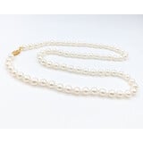  Necklace Strand 6mm Akoya Pearls 14ky 18" 223080001