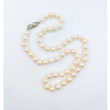  Necklace Strand 7-7.5mm Akoya Pearls SS 17" 223010057