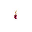 Pendant .03ct Round Diamond 6x4mm(.60ct) Ruby 10ky 13x5mm 223100144