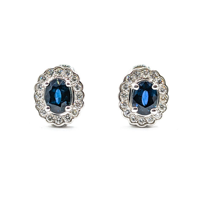 Earrings 2.52ctw Oval Sapphire .65ctw Diamond 14kw 620070003