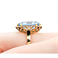Ring 8.80ct Oval Cr. Spinel 14ky Sz6 221110085