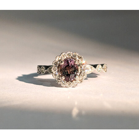 Ring .42ctw Diamonds .97ct Alexandrite 950pt Sz7 123040056