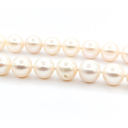 Necklace Strand 8.75-9mm South Sea Pearls Knotted 14ky 17.25" mm 224042250