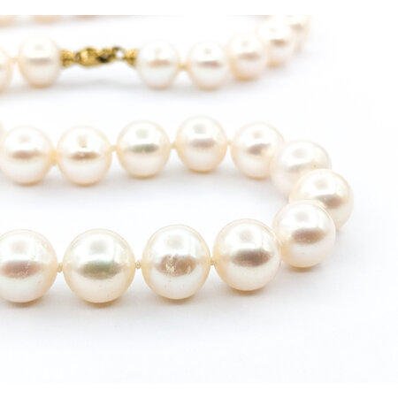 Necklace Strand 8.75-9mm South Sea Pearls Knotted 14ky 17.25" mm 224042250
