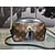 Handbag Louis Vuitton Saintonge Crossbody Monogram M43555 124055025