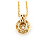 Pendant Pave Circle .50ctw Round Diamonds 16x12mm 14ky 16"" 224051008