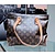 Handbag Louis Vuitton Cabas Piano Monogram 124055067