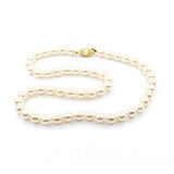  Necklace Strand 7.5-7.7mm Round South Sea Pearls Knotted 14ky 18"" mm 224052250