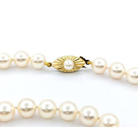 Necklace Strand 7.5-7.7mm Round South Sea Pearls Knotted 14ky 18"" mm 224052250