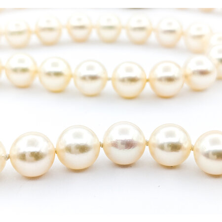 Necklace Strand 7.5-7.7mm Round South Sea Pearls Knotted 14ky 18"" mm 224052250