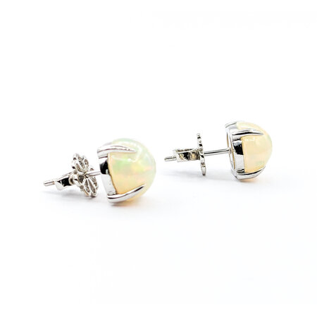 Earrings 9ctw Cabochon Opal 14kw 10.35x10.35mm 123050084