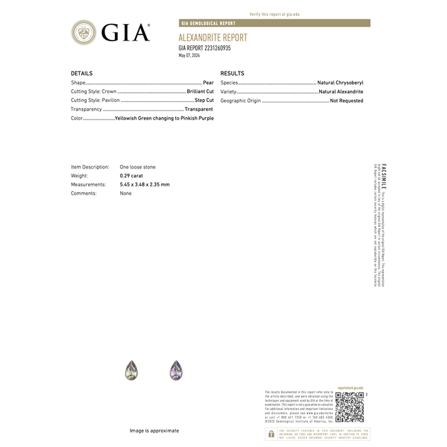 Pendant Drop .13ctw Round Diamonds .29ct Alexandrite GIA: 2231260935 13.9x7.8mm 14ky " 124011250