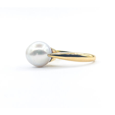 Ring Solitaire 10mm South Sea Pearl 14ky sz8 224060154