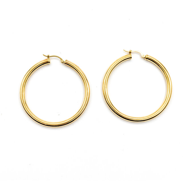 Earrings Hoops Lever Catch 14ky 224064301