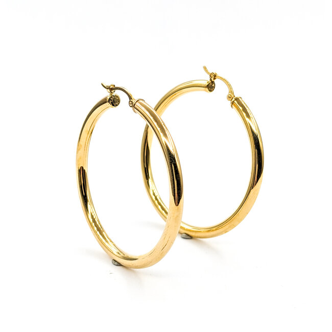 Earrings Hoops Lever Catch 14ky 224064301