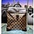 Handbag Louis Vuitton Soho Damier Backpack 124065023