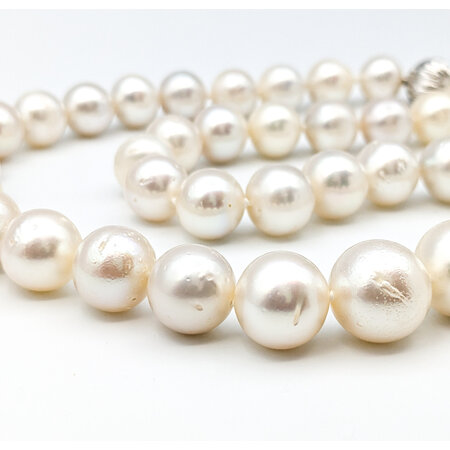 Necklace Strand 11-13.5mm South Sea Pearls GIA 14kw 18"  224062251