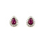 Earrings Stud .32ctw Round Diamonds .68ctw Rubies 10x8mm 14kw 124064159