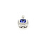 Pendant Drop .21ctw Diamonds .97ct Tanzanite 14kw 17x10mm 123110137