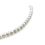  Necklace 4.5mm Grey Pearl 850pt 16.5" 122120432