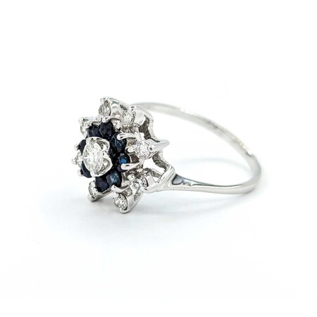 Ring Snowflake .50ctw Round Diamonds .45ctw Sapphire 14kw sz10 224110156