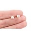 Earrings Stud 6mm Round Pearl 14ky 224114159