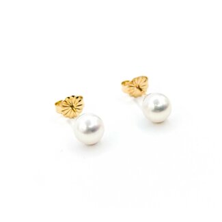 Earrings Stud 6mm Round Pearl 14ky 224114158