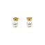 Earrings Stud 6mm Round Pearl 14ky 224114158
