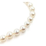  Necklace Mikimoto 6.2-6.5mm Round Pearls Strand Knotted 18ky 17" mm 224102250
