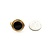Earrings Stud Omega Back 12x12mm Round Onyx .75x.75" 14ky 224114152