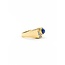 Ring Textured .08ctw Single Cut Diamonds 8x6mm Star Sapphire 14ky 224120183