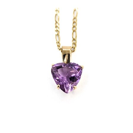 Pendant W/Chain Figaro 10ct Amethyst 25x15mm 14ky 24" 224121253