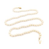  Necklace Strand 5.5mm Akoya Pearls 14ky 25" mm 225012253