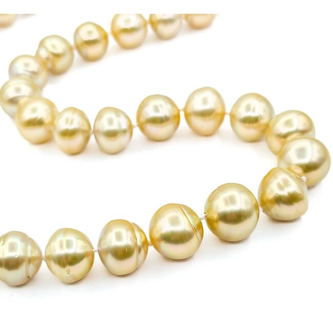 Necklace Strand 10-14mm Golden South Sea Pearls 14ky 18.5" 223010018