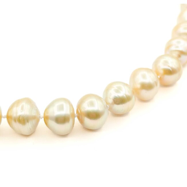 Necklace Strand 10-14mm Golden South Sea Pearls 14ky 18.5" 223010018